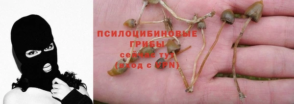 spice Абдулино