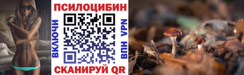 Псилоцибиновые грибы мицелий  купить закладку  Яблоновский 